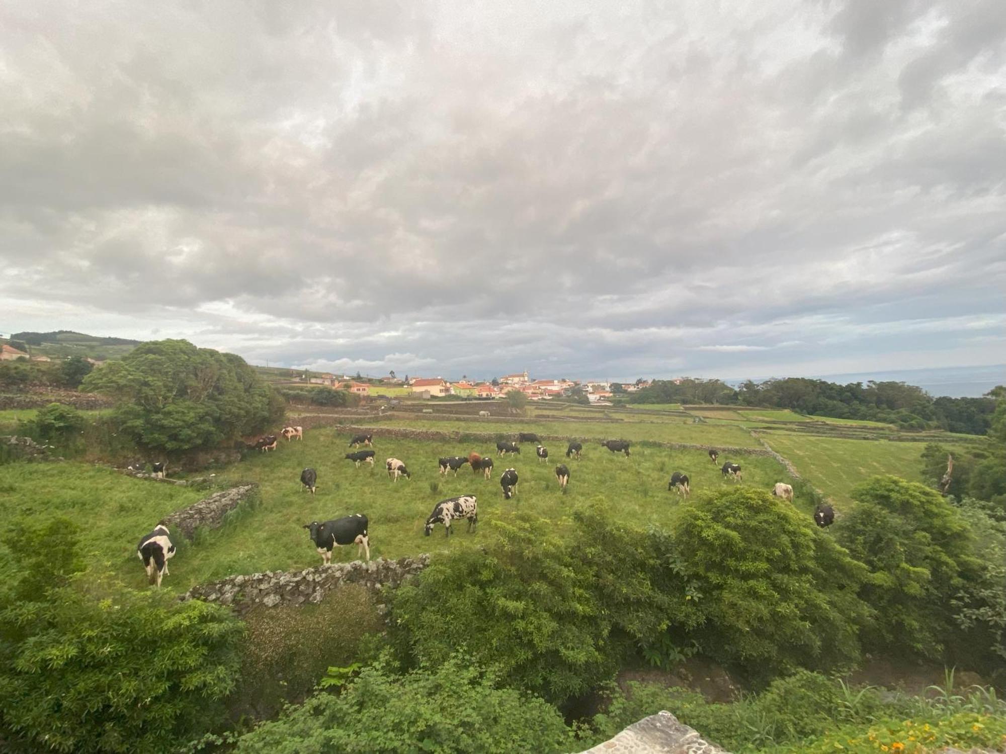 Luzz Me - Casa Das Doze Ribeiras Exteriör bild