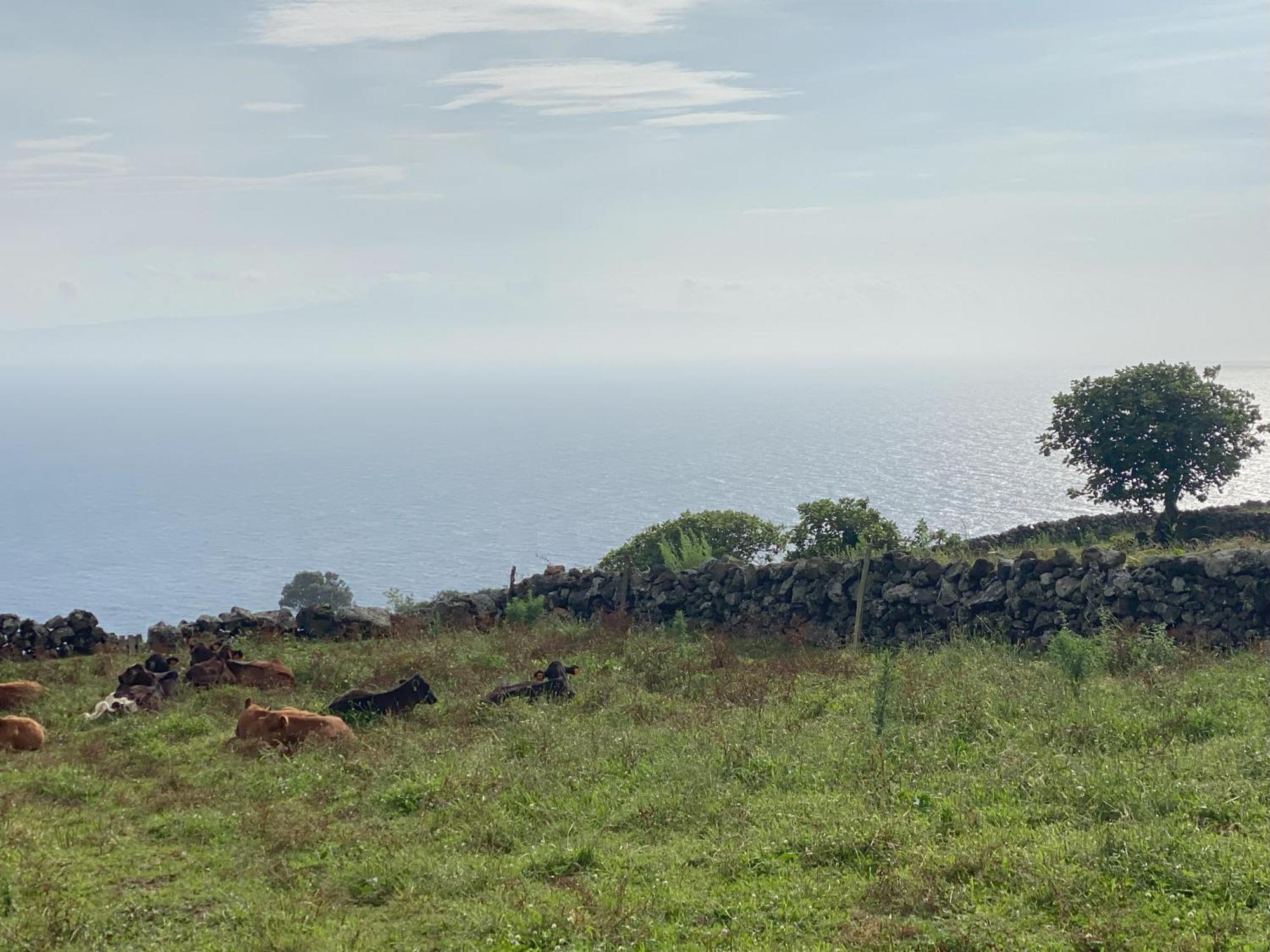 Luzz Me - Casa Das Doze Ribeiras Exteriör bild